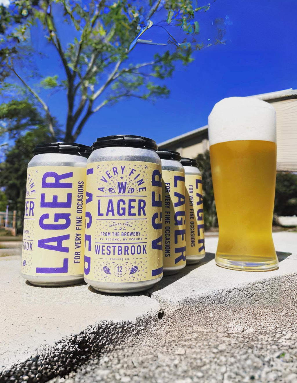 A Very Fine Lager